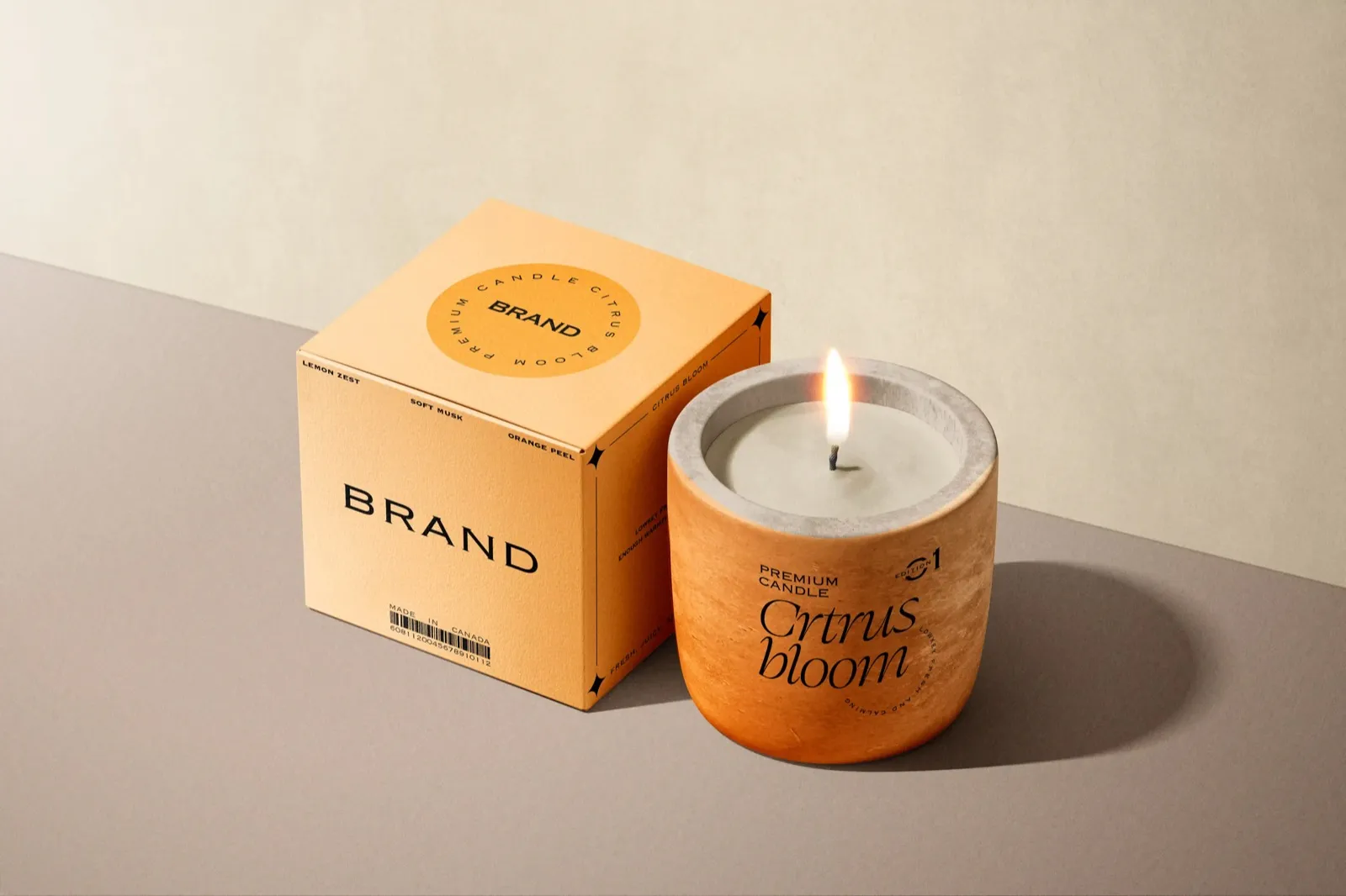 Vorix — branding and packaging